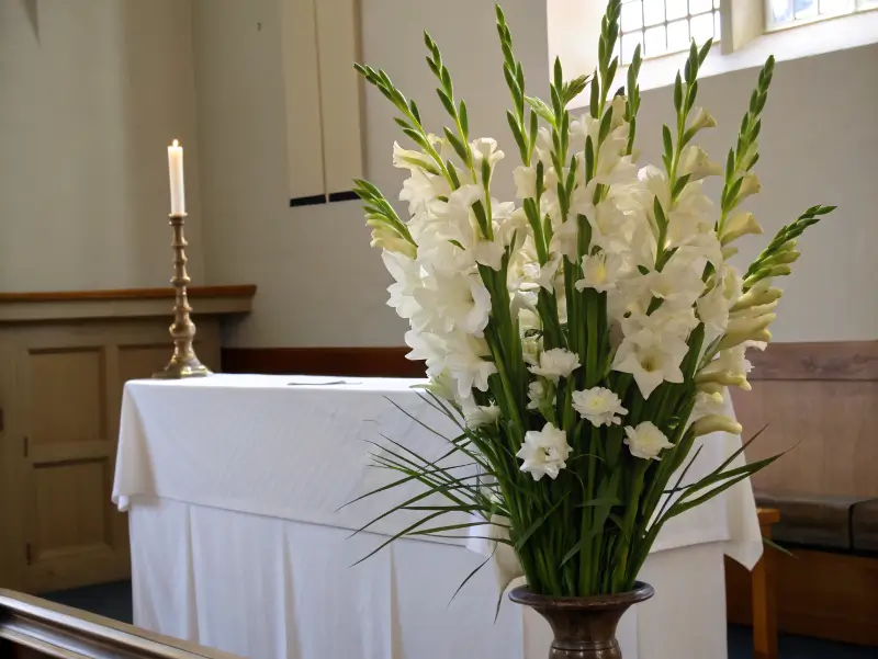 White gladiolus arrangement highlighting the gladiolus flower meaning in a tranquil memorial setting